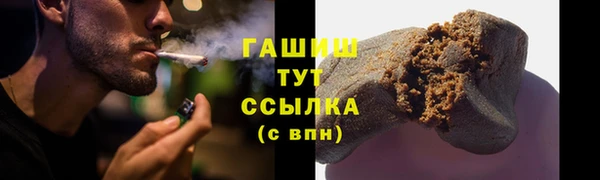 сатива Елизово