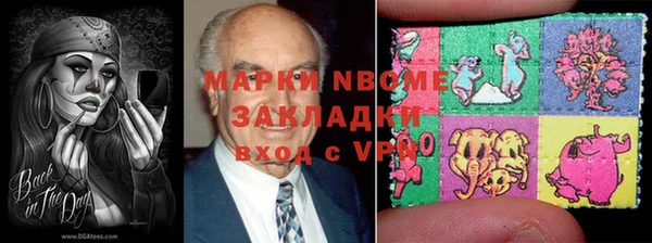 сатива Елизово